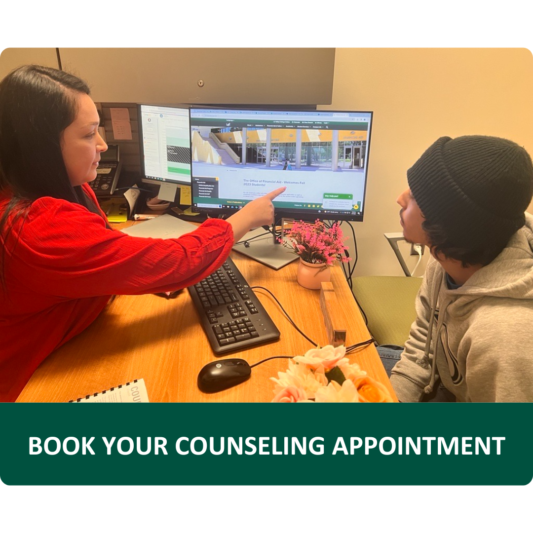 Counselor advising student